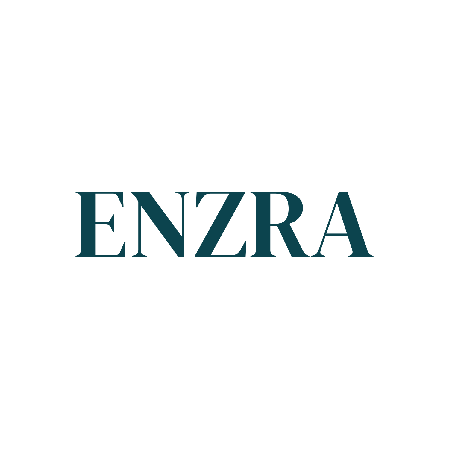 enzra.com for sale