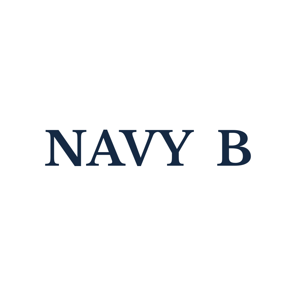 navyb.com for sale