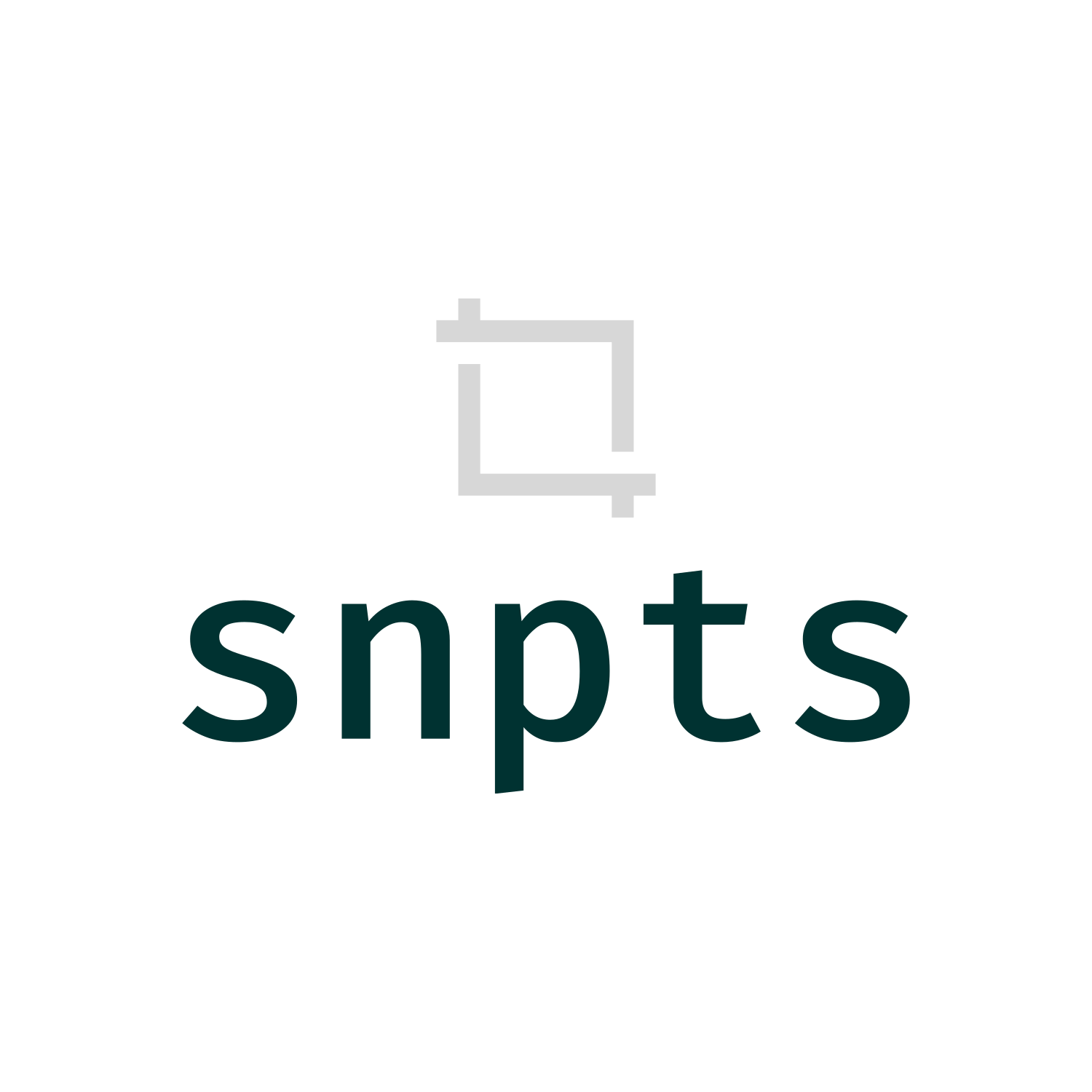 snpts.com for sale