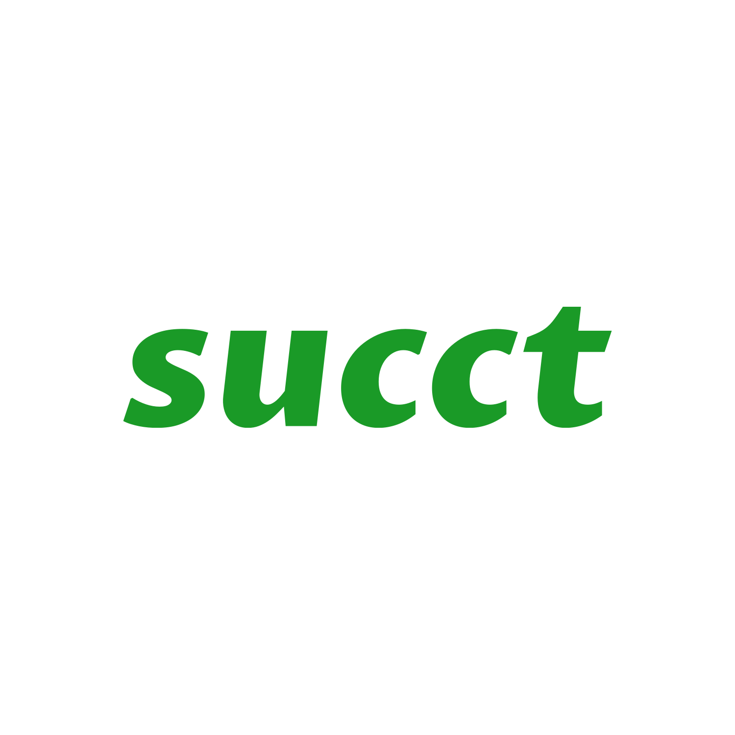 succt.com for sale